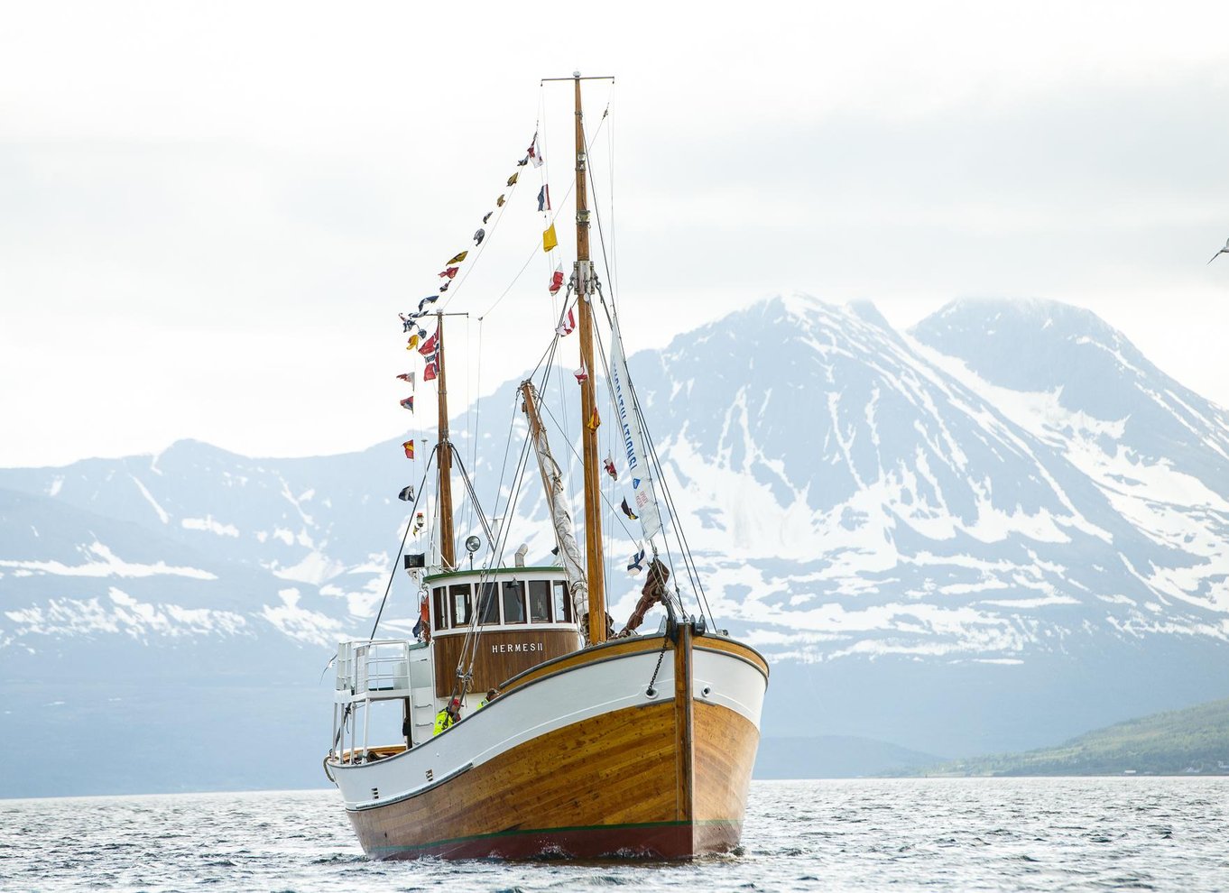 Tromsø: Fiskeri og fjordcruise