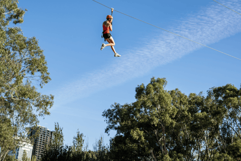 TreeClimb Adelaide : Une escalade palpitante pour les aventuriers