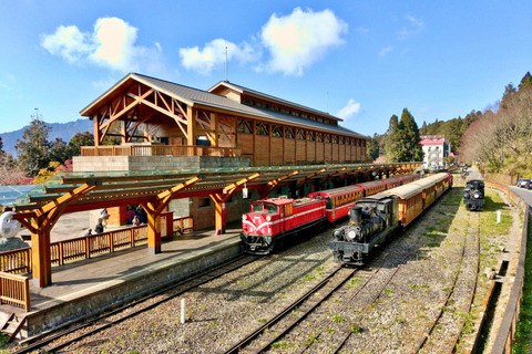 Alishan Forest Day Trip from Taichung, Kaohsiung or Chiayi Join-in Tour from Kaohsiung