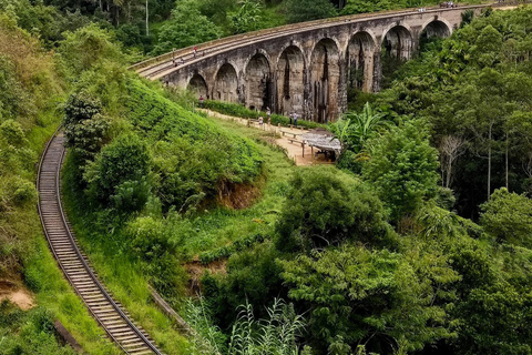 Scenic Highland Journey: Private Transfer from Kandy to Ella