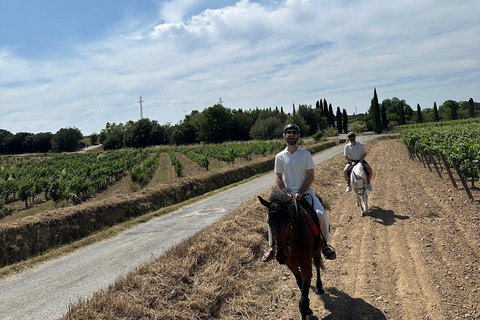 Alicante: przejażdżka konna po górach Maigmó, piknik i transferAlicante: Wycieczka konna na górę Maigmó, piknik i transfer