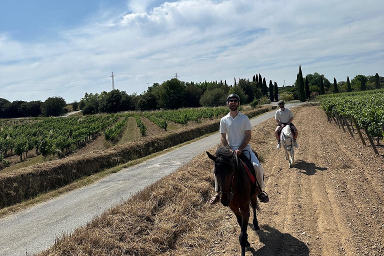 Alicante: przejażdżka konna po górach Maigmó, piknik i transferAlicante: Wycieczka konna na górę Maigmó, piknik i transfer
