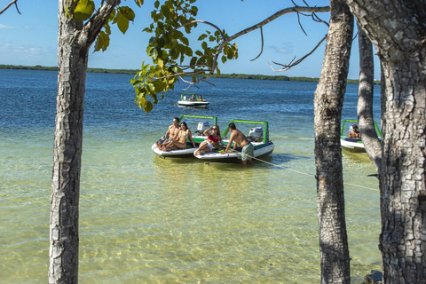 Cancún: Passeio na selva em lancha rápida e aventura com snorkel