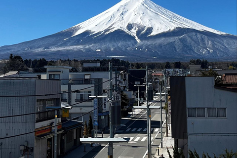 From Tokyo: Mt. Fuji & Hakone Private Scenic Day Tour