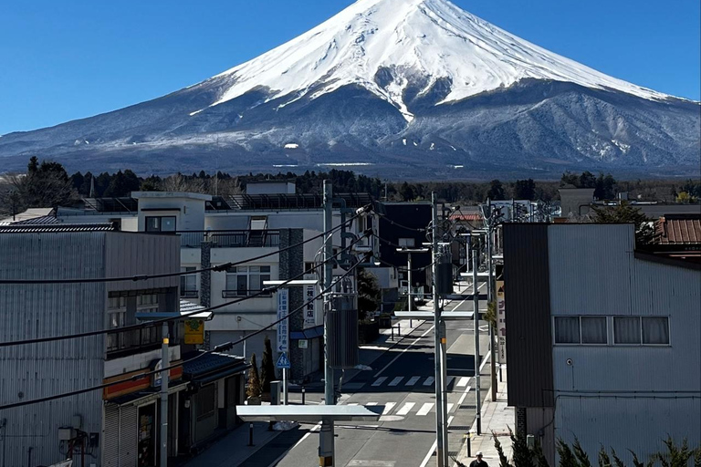 From Tokyo: Mt. Fuji & Hakone Private Scenic Day Tour