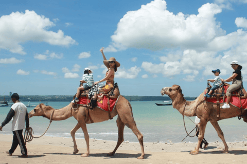 Bali : Balade à dos de chameau sur la plage de Kelan15 minutes de trajet