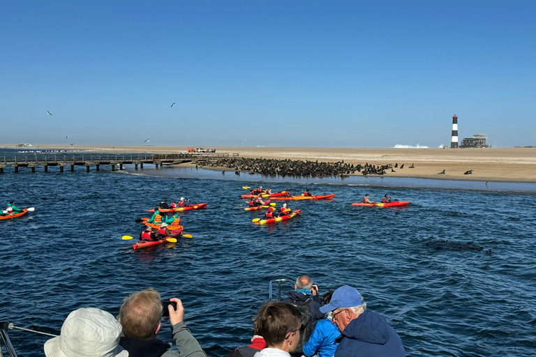 Walvis Bay: Seal Kayaking Adventure with Brunch