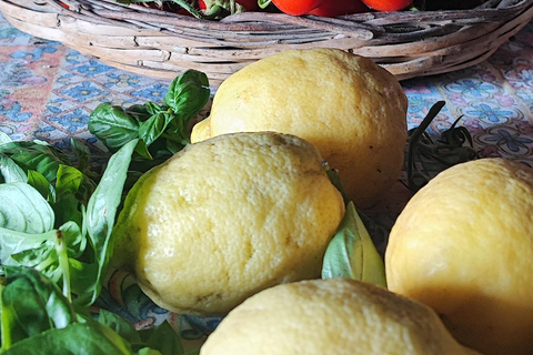 PATH OF THE GODS with NINO Expert local Guide free transport