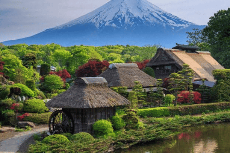 Mount Fuji Full-Day Private Tour from Tokyo (Customizable) Luxury Toyota Crown or SAI