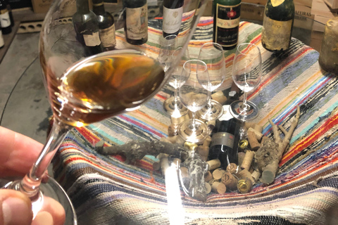 Porto: Cheese and Port Wine Tasting in a Unique Place