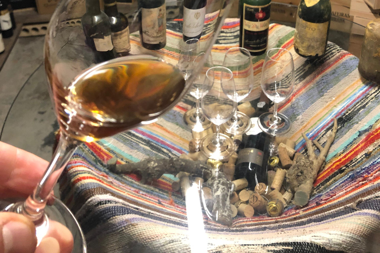 Porto: Cheese and Port Wine Tasting in a Unique Place