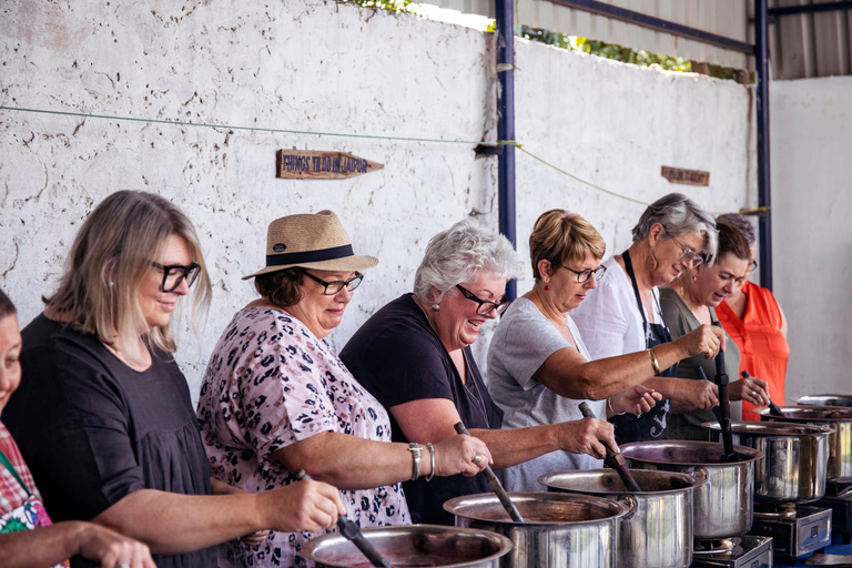 Jaipur: Natural Dyeing and Shibori Tie & Dye Workshop