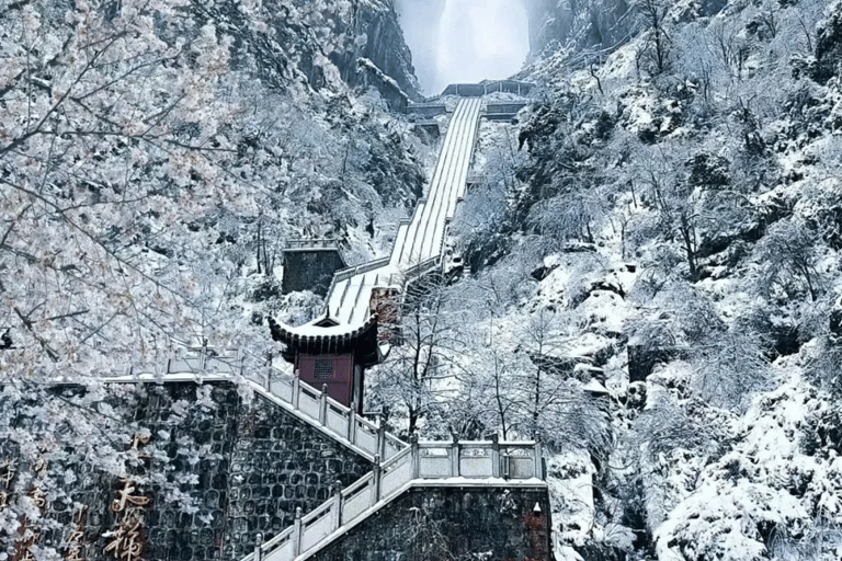 Zhangjiajie Heights: Glass Bridge & Tianmen Light Show