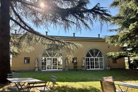 Novi Ligure: Vineyard Estate Tour & Lake Walk with Tasting