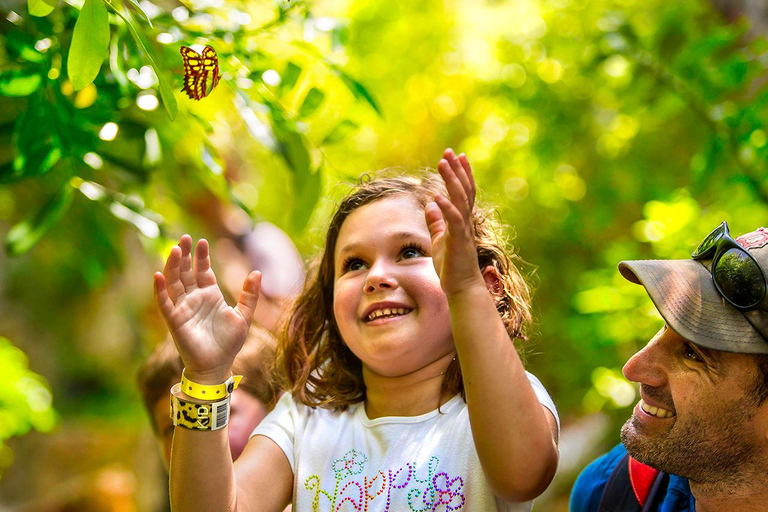 De Cancun: Parque Xcaret Plus, a experiência completa