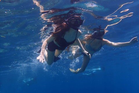 Todo incluye buceo con tubo en la isla de MenjanganTodos incluyen snorkel en la isla de Menjangan