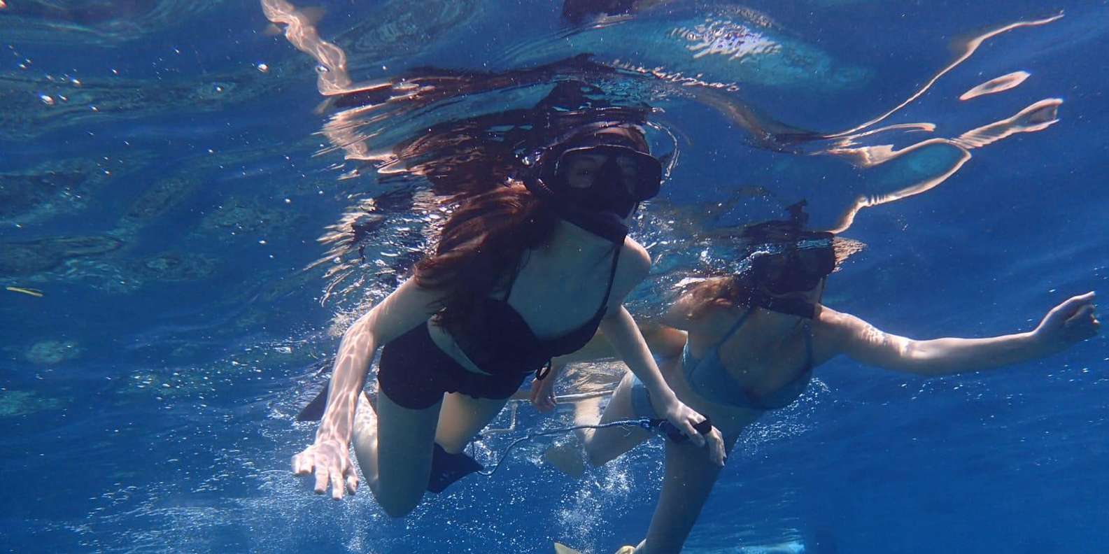 All Include Snorkeling Menjangan Island