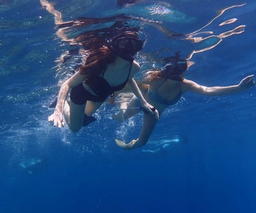 Snorkeling di base sull'isola di Menjangan