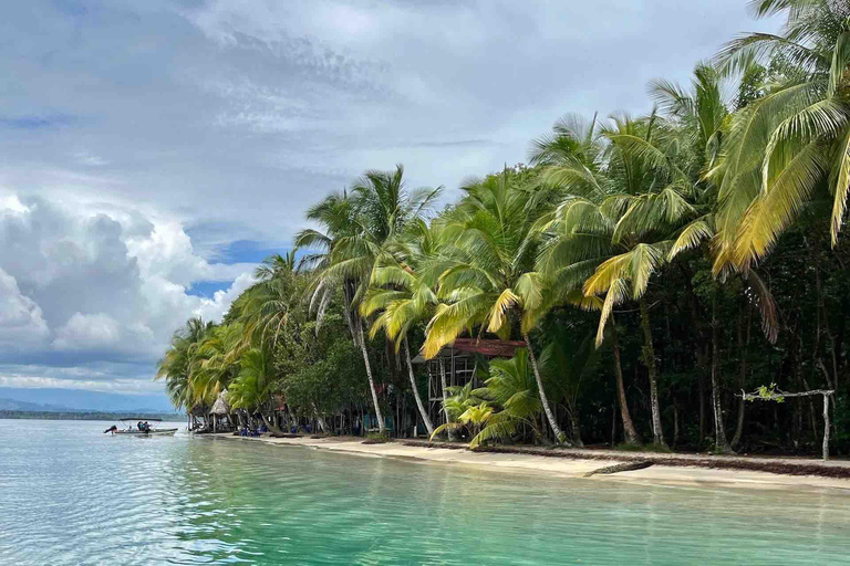 Isla Colon : L&#039;île aux oiseaux, Boca del Drago et Starfish Beach...