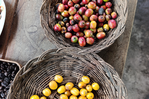 Cusco: Specialty Coffee Tasting-Sensory Experience (2 Hours)