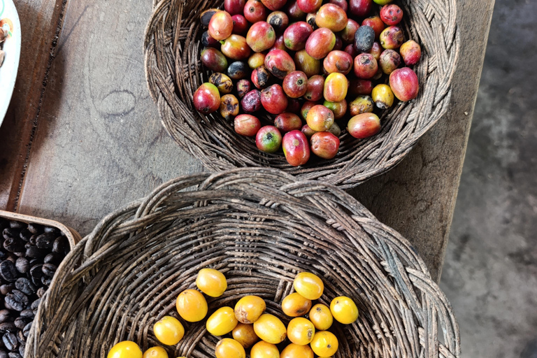 Cusco: Specialty Coffee Tasting-Sensory Experience (2 Hours)