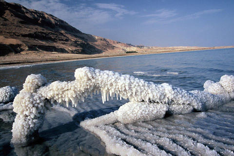 Dead Sea, Mount Nebo, Madaba, and Baptism Site, From Amman. Transportation & Entry Tickets to all sites