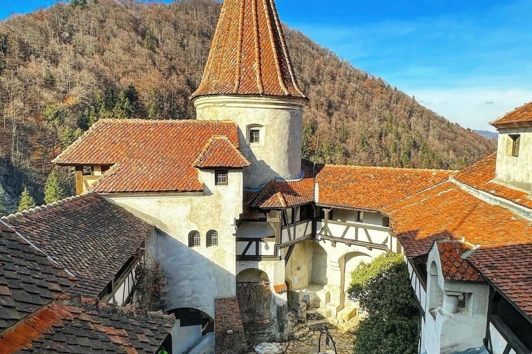 Bucharest: Bran Castle, Peles Castle and Brasov Day Tour Private Tour in English