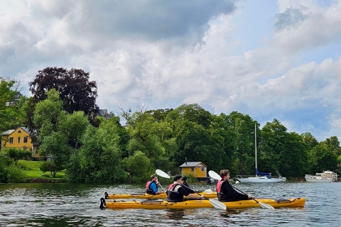 Estocolmo: Excursión en kayak al Palacio Real de Drottningholm