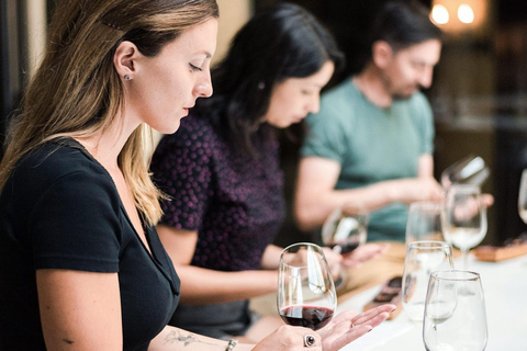 Viña Haras de Pirque Wine Experience