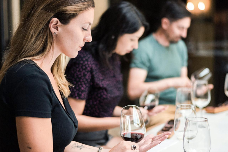 Viña Haras de Pirque Wine Experience