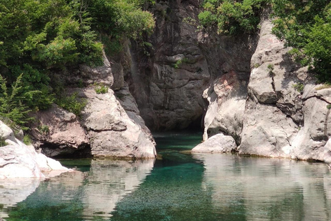 Tirana: Albanische Alpen und Theth Village Tagestour mit Mittagessen