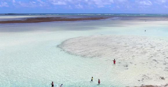 Oahu: Kāneʻohe Bay Sandbar Cruise with Snorkeling