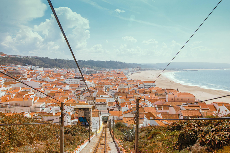 Traslado privado Oporto-Lisboa, con paradas visitas por el caminoParada en 3 ciudades