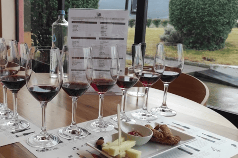 Thessalonique : Visite privée de la région viticole de Naousa