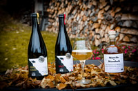 Villingen-Schwenningen, degustação de sidra guiada na fazenda - Housity