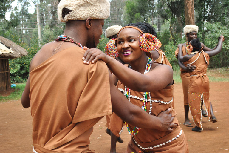 Parque de Nairobi, cena con elefantes, jirafas, Bomas y Safaripark