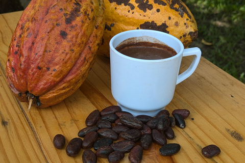 ATELIER CACAO À LA CASA JOCOLATEATELIER SUR LE CACAO À LA CASA JOCOLATE