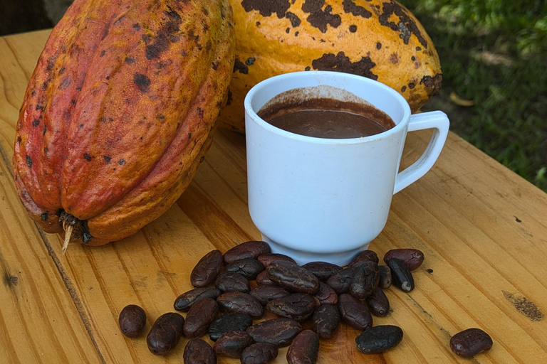 LABORATORIO SUL CACAO A CASA JOCOLATE