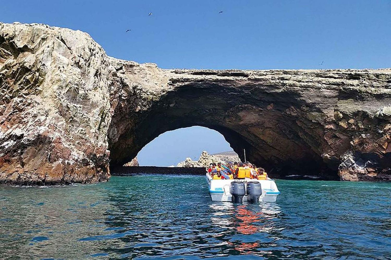 From Ica: Paracas and Huacachina Oasis Day Trip with …