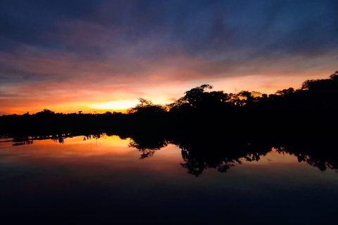 Explore Yasuní: 4-Day, 3-Night Getaway in a Standard Room Yasuní, 4 days and 3 nights. Standard room.