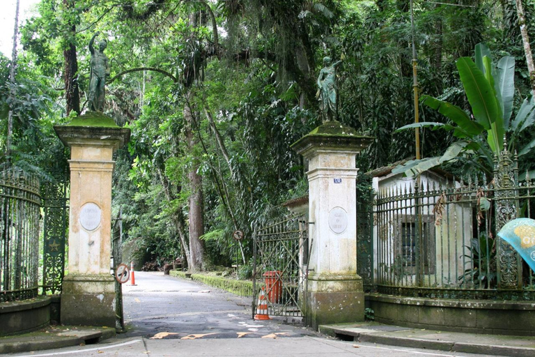 Rio: Christ the Redeemer and Tijuca Forest Tour