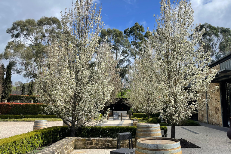 Tour delle colline di Adelaide