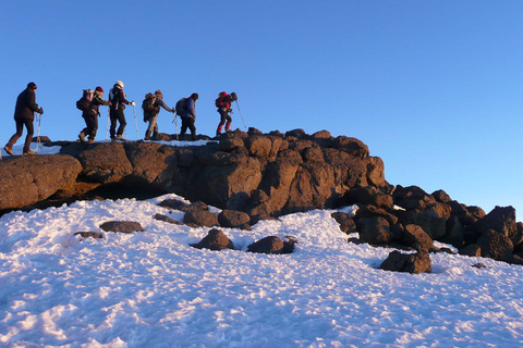 Mt.Kilimanjaro: 6-tägiges Lemosho Route Kilimanjaro Trekking