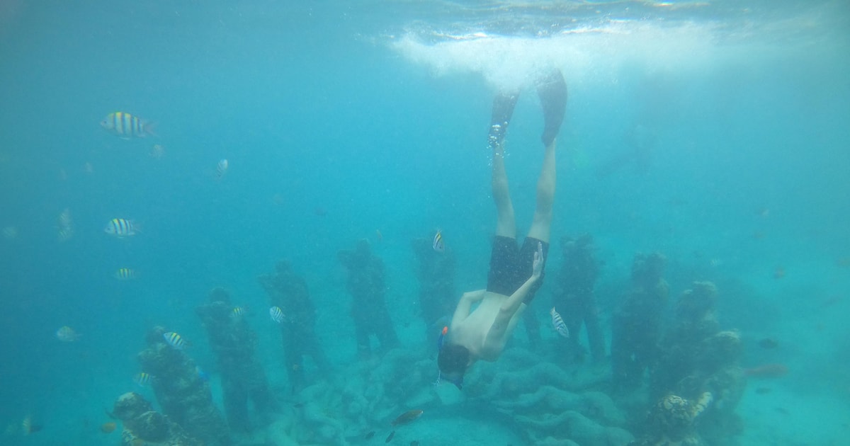 4 Hours Snorkeling 3 Gilis ( Trawangan,Meno, Gili air) GetYourGuide