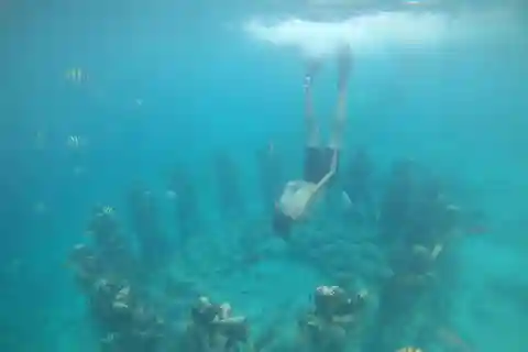 4 Hours Snorkeling 3 Gilis ( Trawangan,Meno, Gili air)