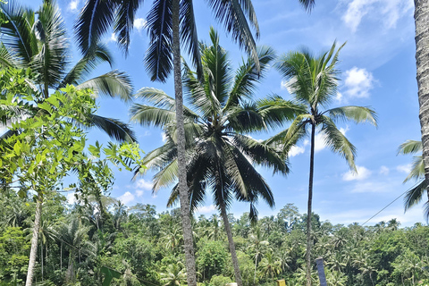 乌布猴林、梯田、秋千、寺庙和瀑布乌布猴林、水稻梯田、秋千、寺庙和瀑布