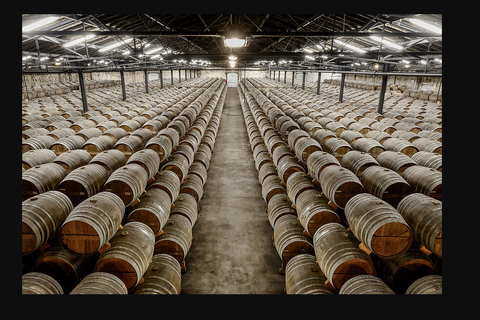 Rémy Martin Discover the production site by train Rémy Martin Découverte en train du site d'élaboration