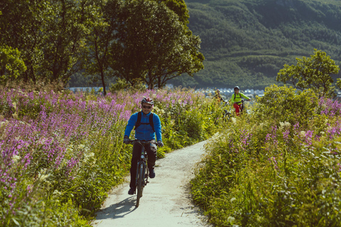 Tromsø: Explore Tromso by E-bike