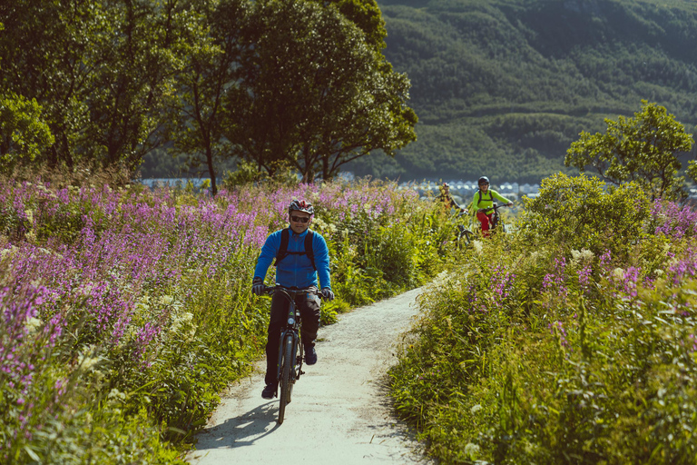Tromsø: Explore Tromso by E-bike