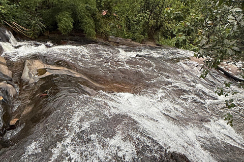 From Colombo: Cave Temples, Jungle Trek & Waterfall Swim
